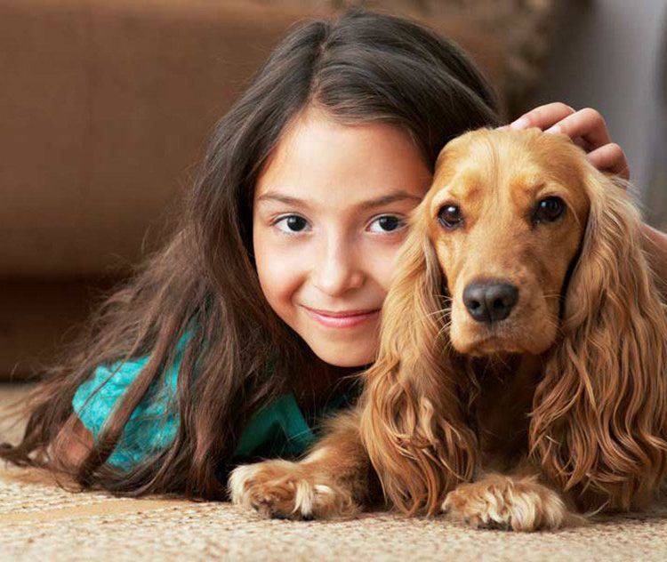 5 hábitos simples que melhoram a saúde do seu pet todos os dias