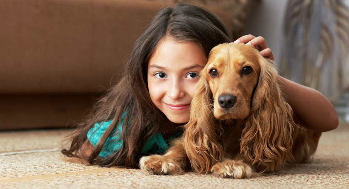 5 hábitos simples que melhoram a saúde do seu pet todos os dias